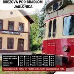 Brezová lokálka IG